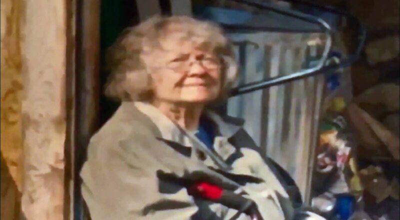 Search underway after 79-year-old woman vanishes while walking dog in Nova Scotia 1