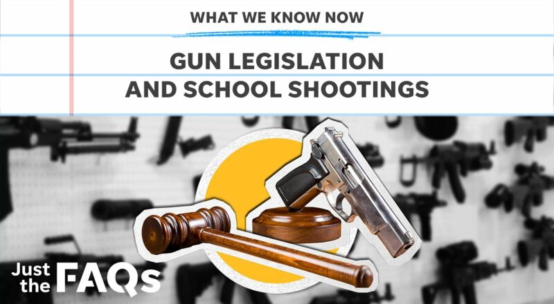 School shootings: What gun legislation looks like across the US | JUST THE FAQS 1
