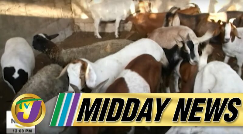 Attack on Goat Farm Leave 3 Injured | RADA Board Members Fired | TVJ Midday News - Dec 10 2021 1