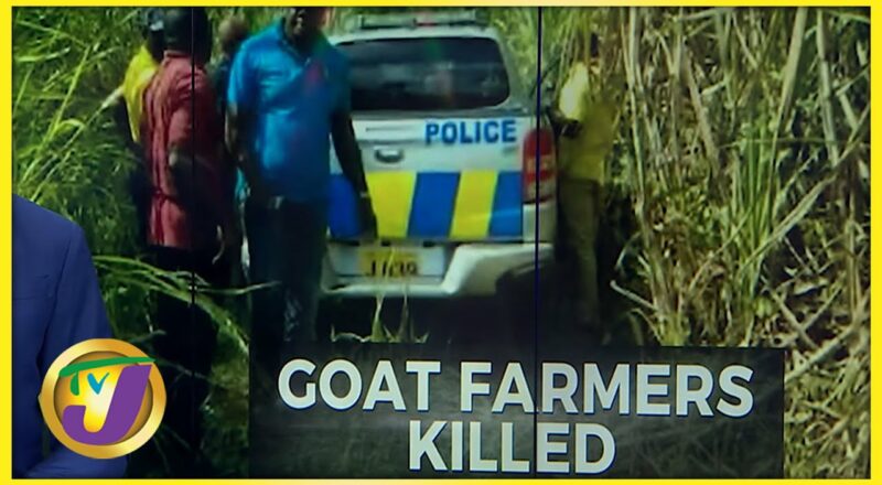 Goat Farmers Killed in Westmoreland Jamaica | TVJ News - Dec 14 2021 1