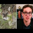 Dan Riskin on how predators can protect their environments 14