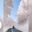 Magical snowfall turns a road into a winter wonderland | USA TODAY 8
