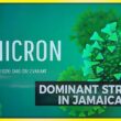 Omicron Variant the Dominant Strain in Jamaica | TVJ News - Jan 25 2022 9