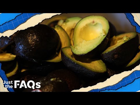 Mexico avocado ban: Will there be shortages, higher prices? | JUST THE FAQS 1
