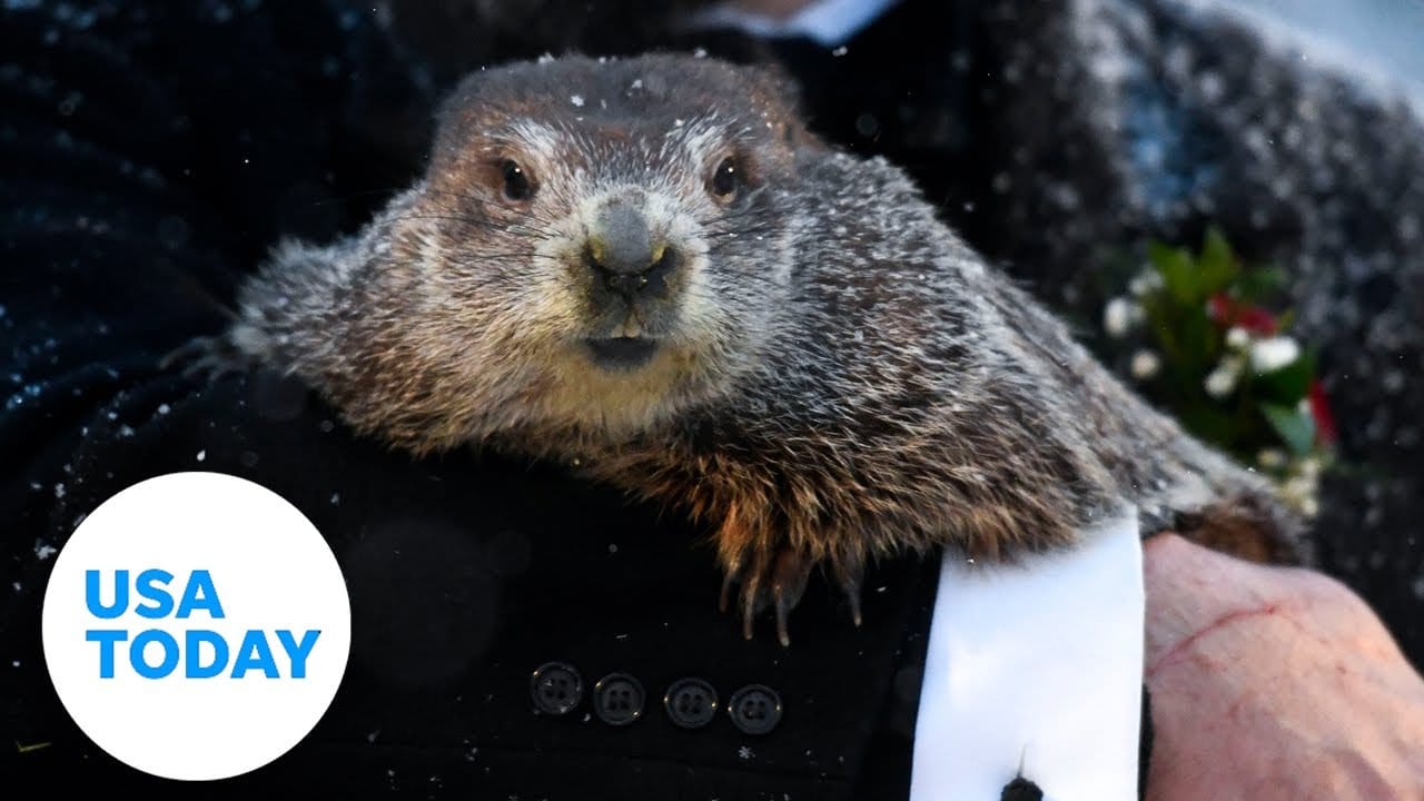 Punxsutawney Phil predicts more winter on Groundhog Day | USA TODAY 5