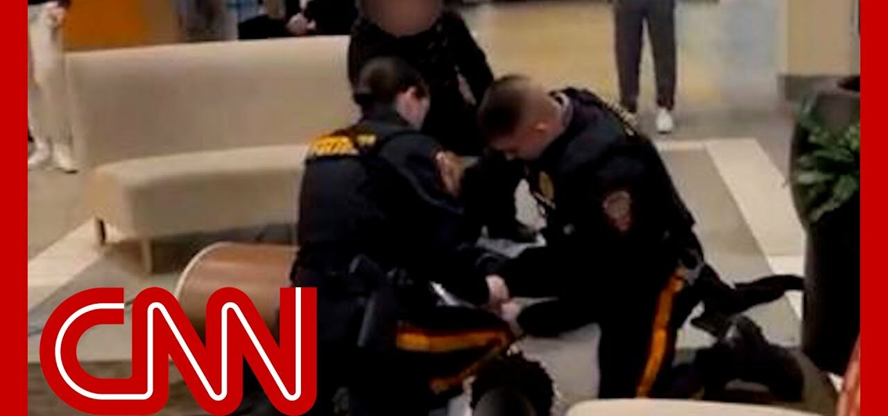 Video showing how police treat Black and White teens in mall fight sparks outrage 1