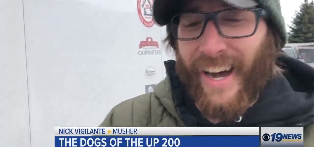 The Dogs of the UP 200 1