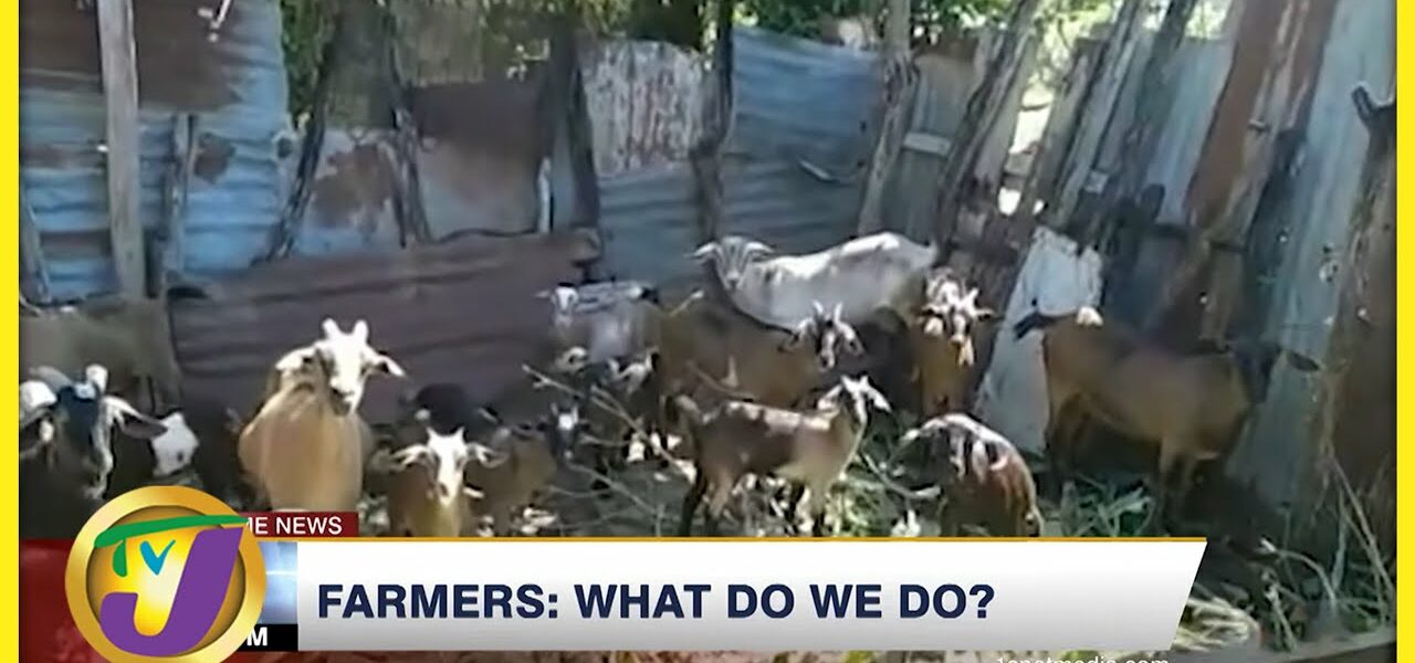 Farmers: What do we do? TVJ News - Feb 18 2022 1