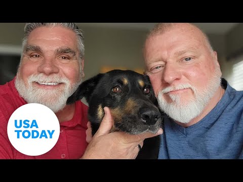 'Gay' dog abandoned at local shelter adopted by gay couple 1