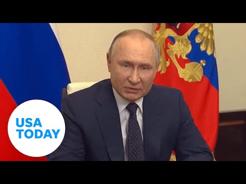 Russia could be moving towards a totalitarian regime, says expert | USA TODAY 1