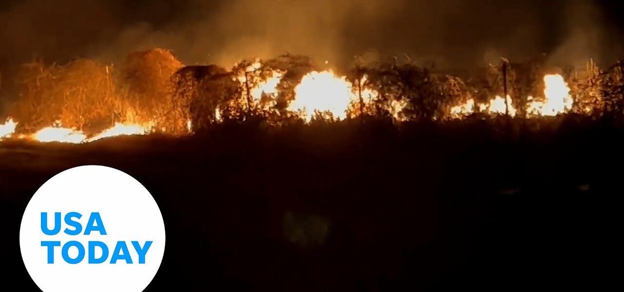 State officials fighting large wildfires burning across Texas counties | USA TODAY 1