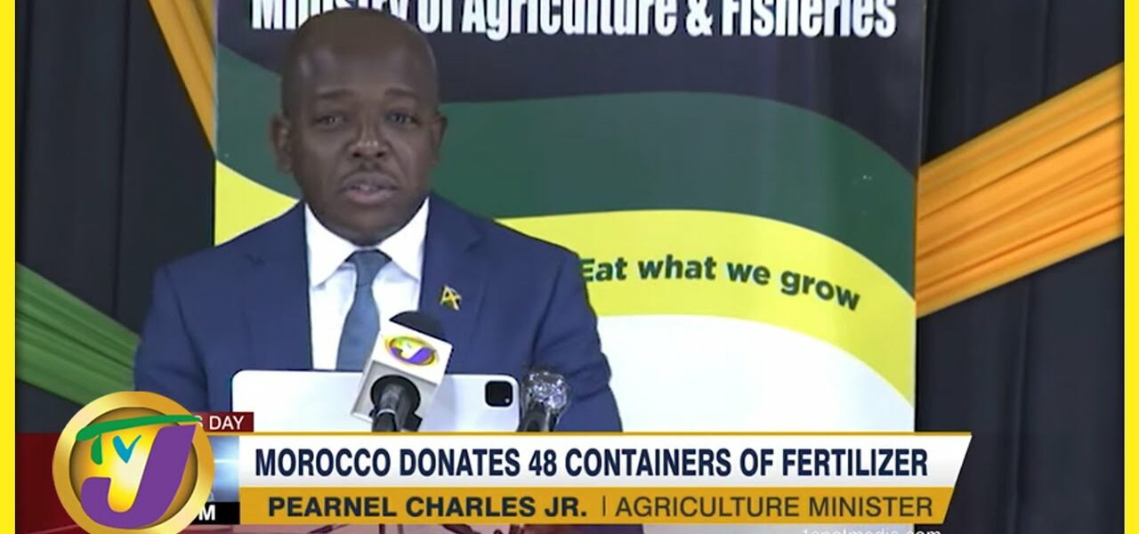 Morocco Donates 48 Containers of Fertilizer to Jamaica | TVJ Business Day - Mar 24 2022 1