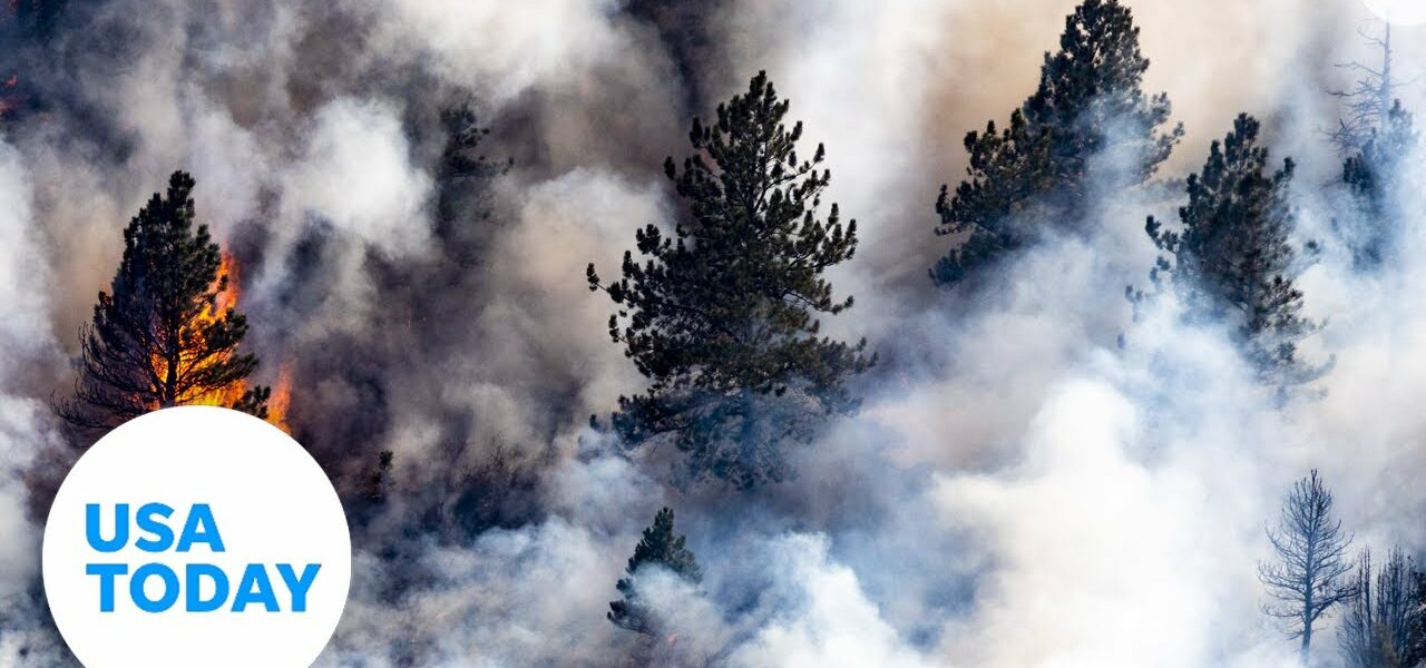 Boulder wildfire prompts over 19,000 evacuations | USA TODAY 1