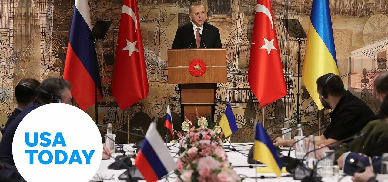 Ukrainian and Russian delegates begin peace talks in Turkey | USA TODAY 1