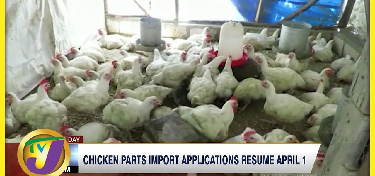 Chicken Parts Import Applications Resume April 1 | TVJ Business Day - Mar 28 2022 1