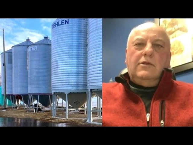$40K worth of canola stolen from this Manitoba farmer | Grain thefts on the rise 1