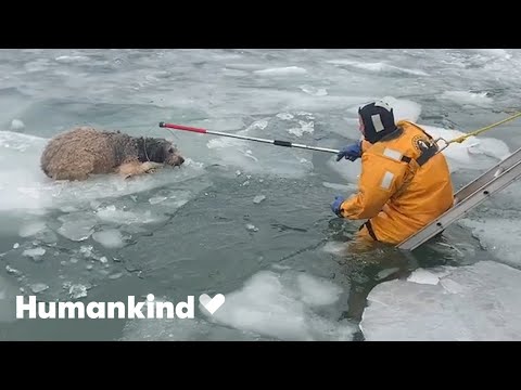 Watch these every day heroes save lives | Humankind 7