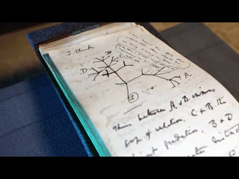 Rare books anonymously returned decades after going missing 1