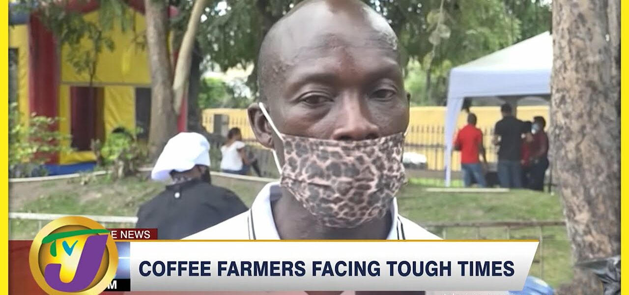 Coffee Farmers Facing Tough Times | TVJ News - April 8 2022 1