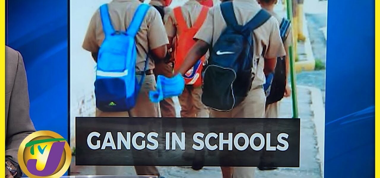 More Gangs in Jamaica's School | TVJ News - April 8 2022 1