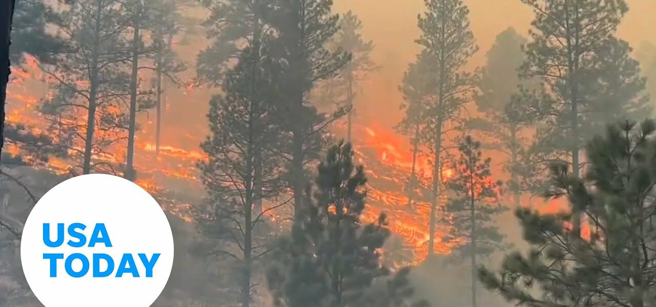 Deadly wildfires are being fed by wind, dry conditions in New Mexico | USA TODAY 1