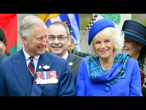 'She's hilarious': Royal biographer on Duchess of Cornwall's personality and life 8