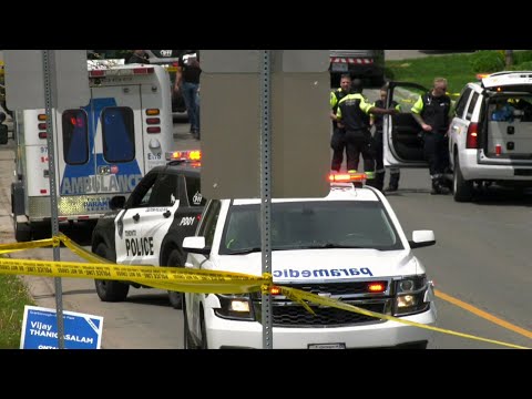 Man carrying air rifle near Toronto elementary school shot dead 1