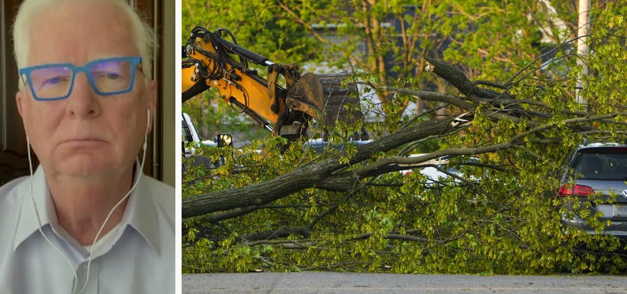 Climatologist Dave Phillips explains why the derecho in Ontario uprooted many large trees 1