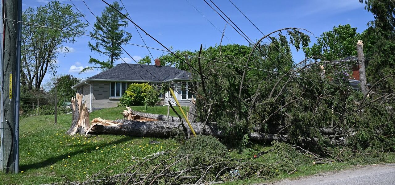 'All hands on deck': Cleanup continues in areas hard hit by Ont. storm 6