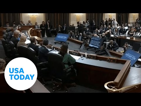 January 6 hearing includes testimony from Ivanka Trump, Bill Barr | USA TODAY 8
