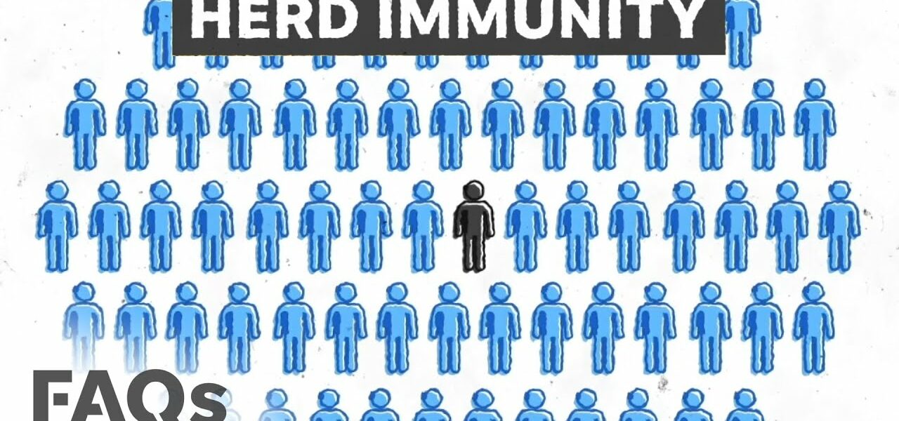 COVID-19 herd immunity may never happen, here's why | JUST THE FAQS 1