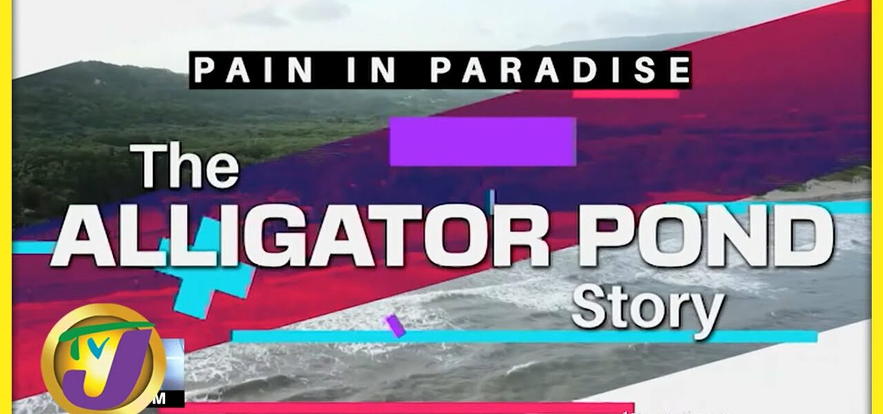 Pain in Paradise: Alligator Pond Story - Public Rights & Access to Beaches | TVJ News - June 6 2022 1