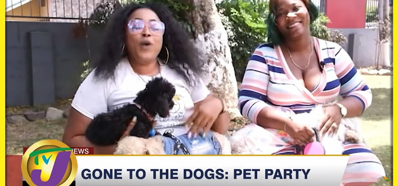 Gone to the Dogs; Pet Party | TVJ News - May 31 2022 7