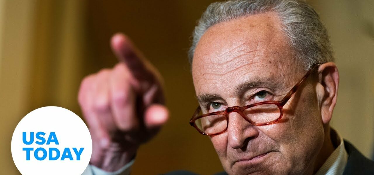 Schumer promises 'quick action' on bipartisan gun reform bill | USA TODAY 1