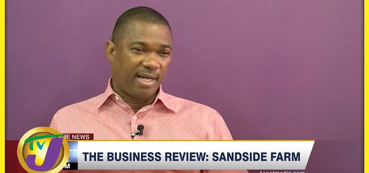 Sandside Farm with Arnaldo Brown | TVJ Business Day Review - June 12 2022 1