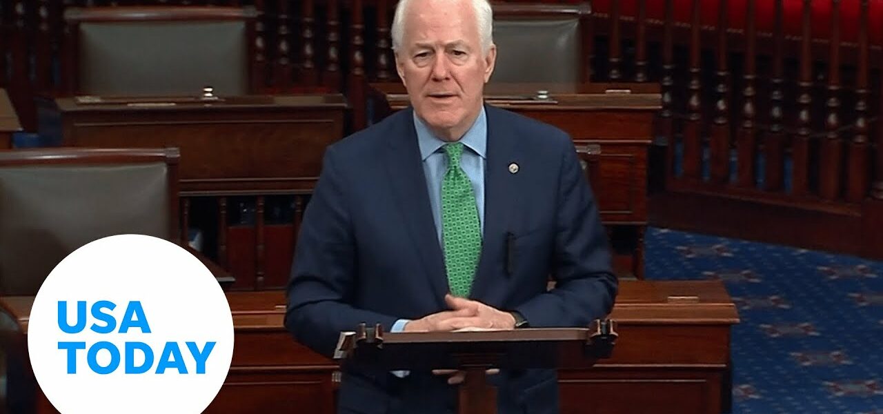 Senator explains how colleagues closed 'boyfriend loophole' in gun bill 4