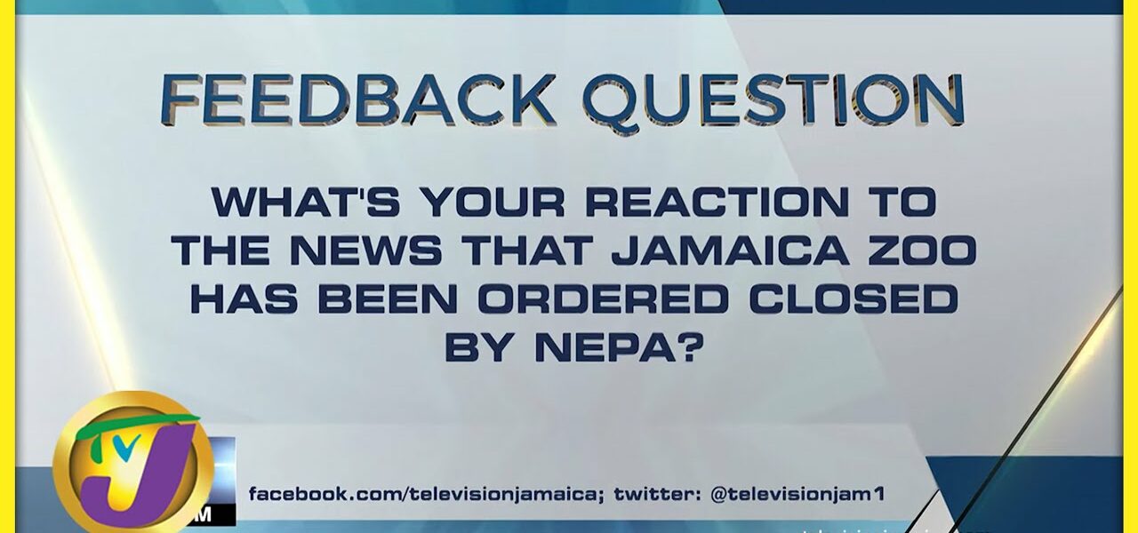 Feedback Question | TVJ News - June 1 2022 1