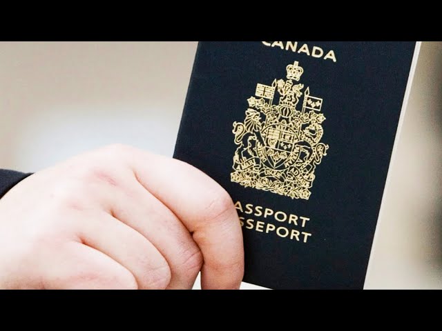 Feds announces new task force to improve passport wait times 4