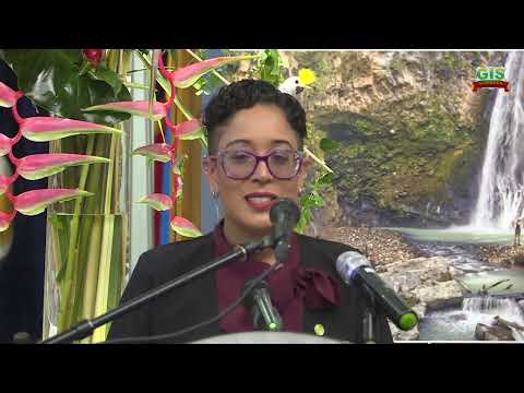 OECS 7TH COUNCIL OF MINISTERS: TOURISM 1