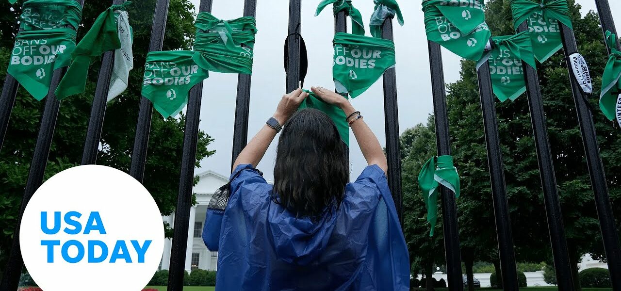 Abortion rights protesters stage a sit-in at the White House | USA TODAY 2