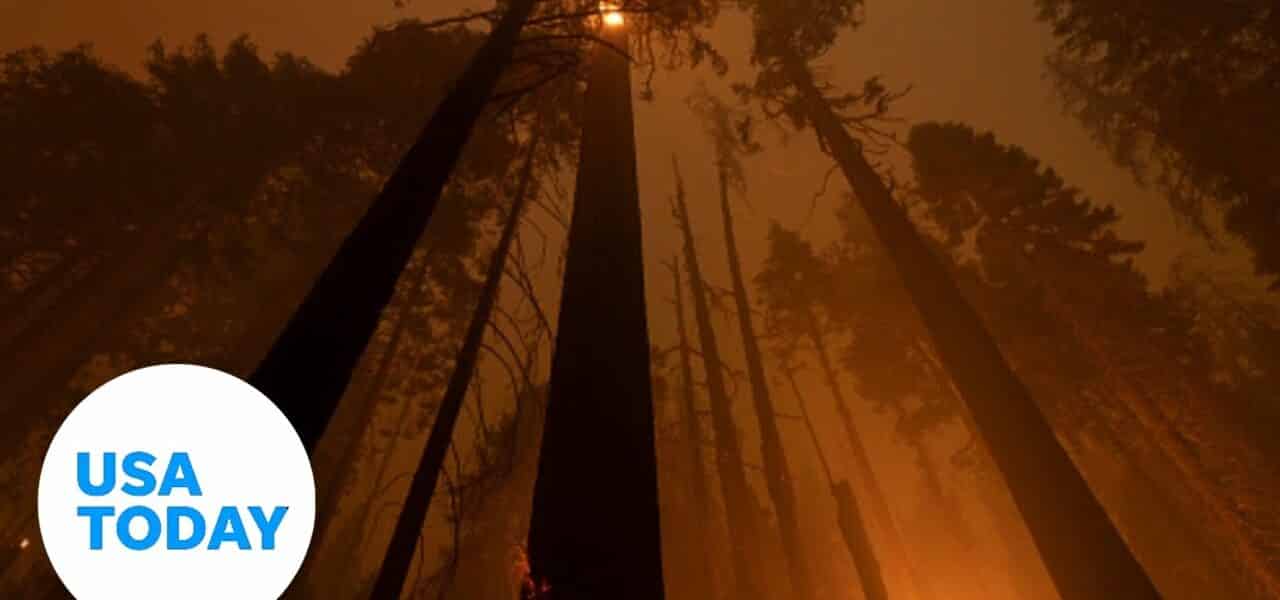 Washburn Fire threatens Yosemite National Park sequoia grove | USA TODAY 1