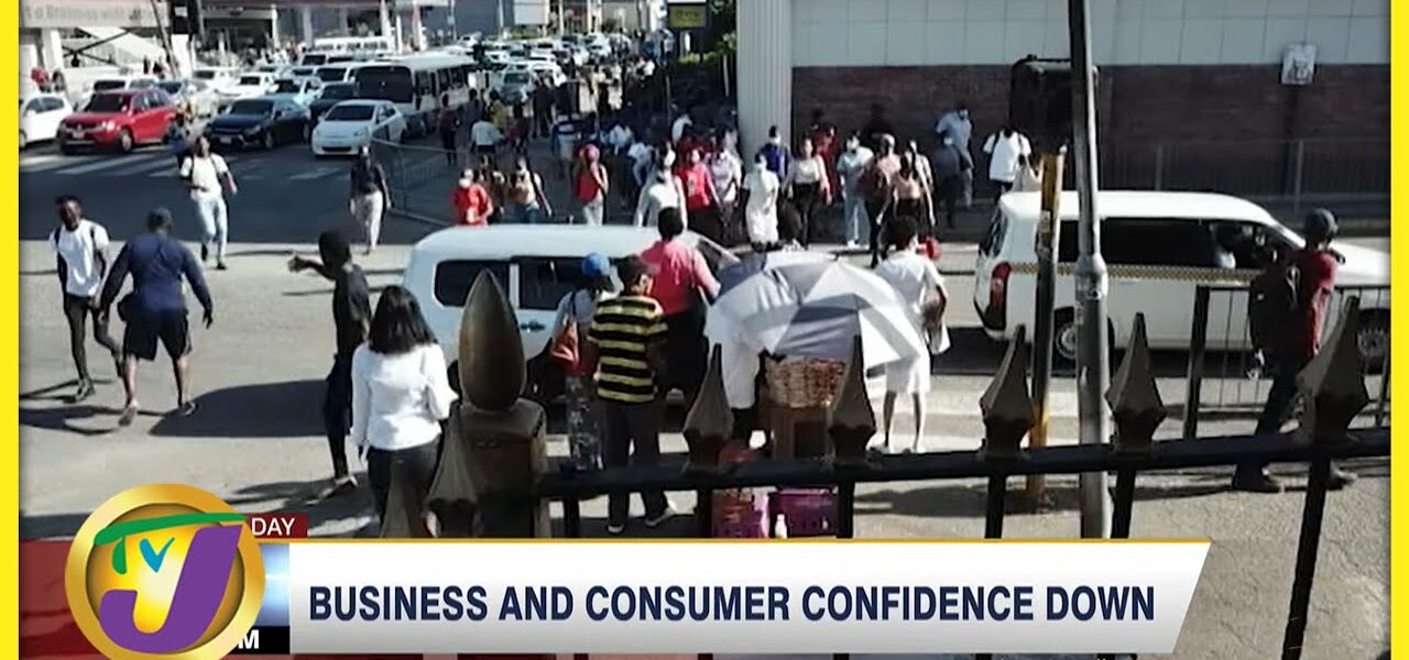Survey Shows Jamaica's Business & Consumer Confidence Down | TVJ Business Day - July 26 2022 1