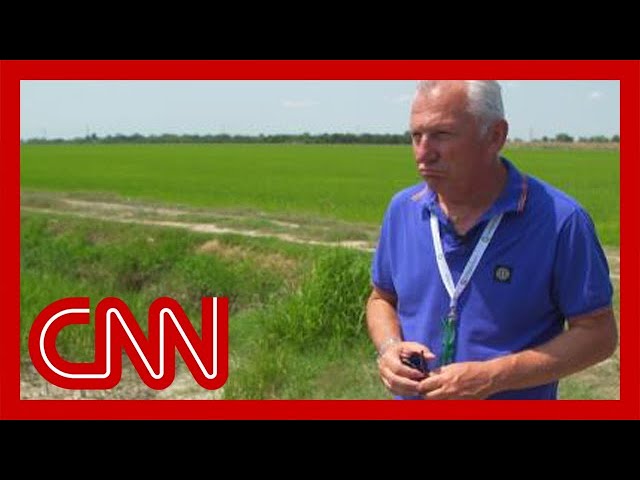 Italian authorities: '70% of crops are gone' in Po River Delta 1
