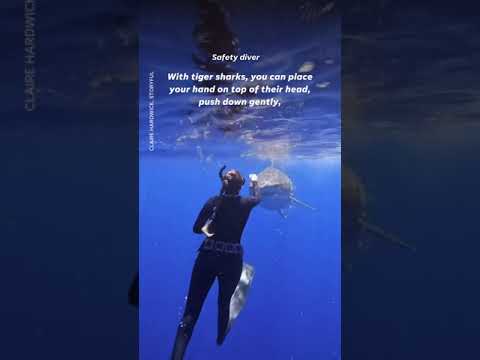 How to protect yourself against a shark | USA TODAY #Shorts 1