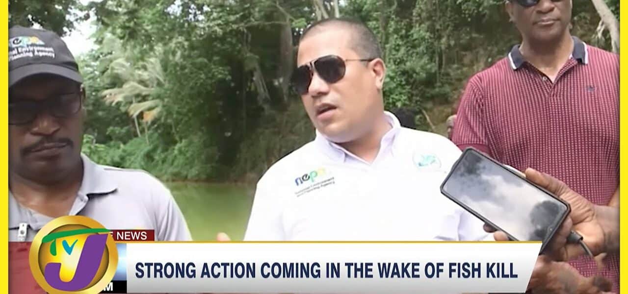 Strong Action coming in the Wake of Fish Kill | TVJ News - July 31 2022 1