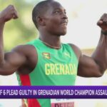 4 of 6 Plead Guilty in Grenadian World Champion Assault 14