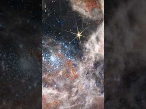 Tarantula Nebula captured by James Webb Space Telescope | USA TODAY #Shorts 1