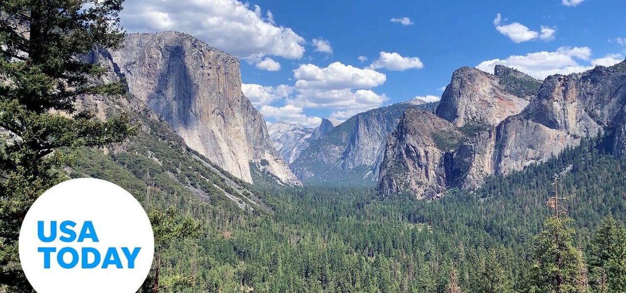 Climate change is slowly killing Yosemite forests | USA TODAY 6