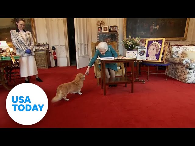 Queen Elizabeth II’s corgis rehomed with Duke and Duchess of York | USA TODAY 2