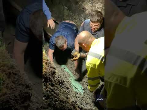 Heroic rescuers save 13-year-old dog stuck in a sewer line | USA TODAY #Shorts 4